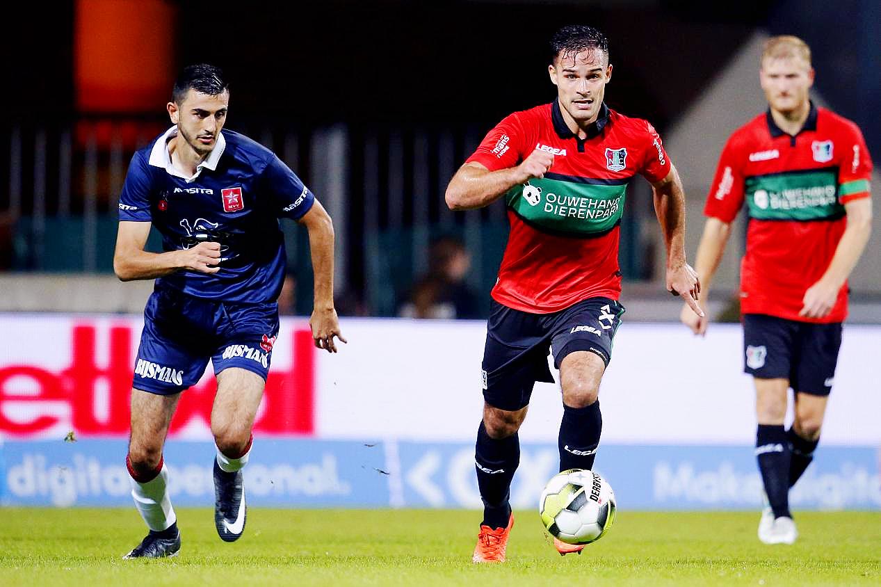 青岛红狮 青岛红狮